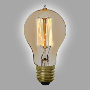 Ampoule déco vintage Denver 40W, E27